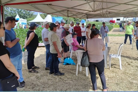 Produtores de Palmeira buscam soluções no dia de campo em Lontras